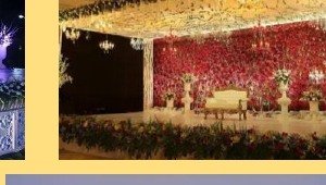 Reception Floral Wall Stage - Udaipur Event Management